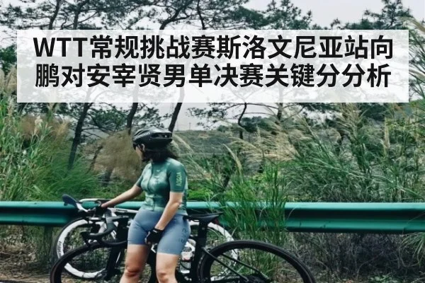 WTT常规挑战赛斯洛文尼亚站向鹏对安宰贤男单决赛关键分分析